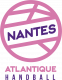 Logo Nantes Atlantique Handball